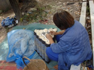 08_Thai