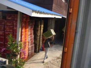 www.thaishop.de